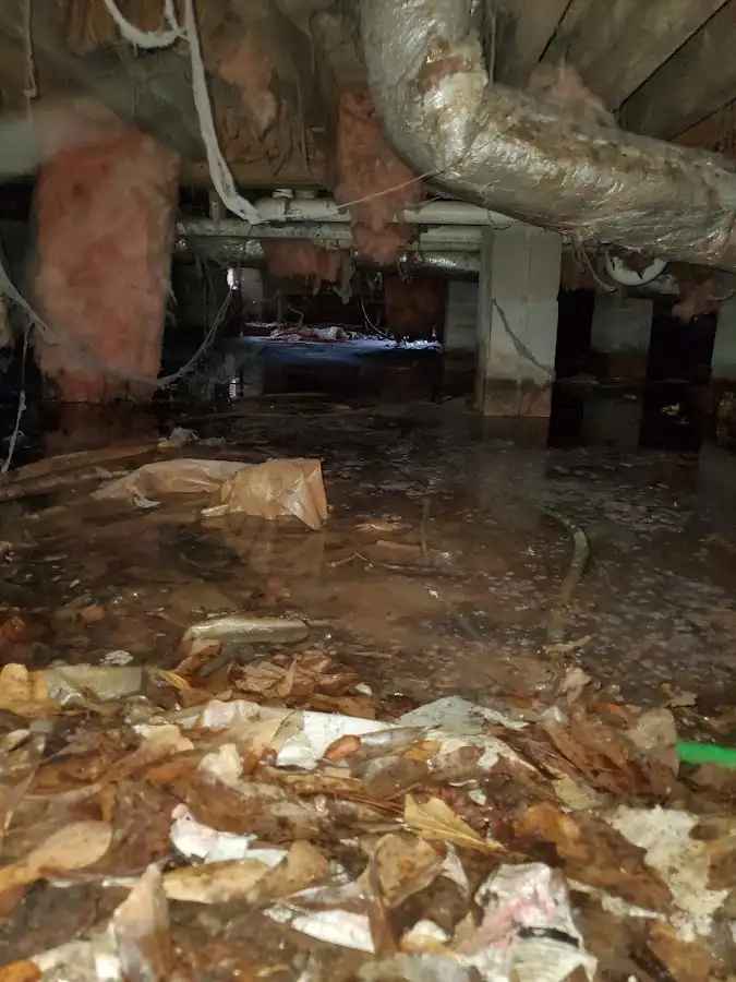 Crawl space flood assessment for Commercial Water Damage Restoration in Largo